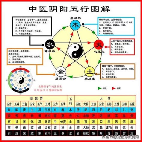 五行歸類表|中醫基礎/五行學說